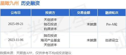 星瞰九州完成Pre-A輪融資，天創資本與陸石投資領投，加速信息技術咨詢業務發展