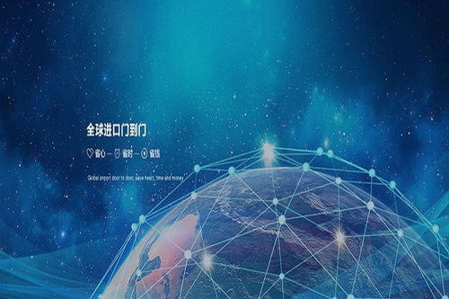 江蘇冷凍魚肉全球門到門服務(wù)與信息技術(shù)咨詢的融合發(fā)展